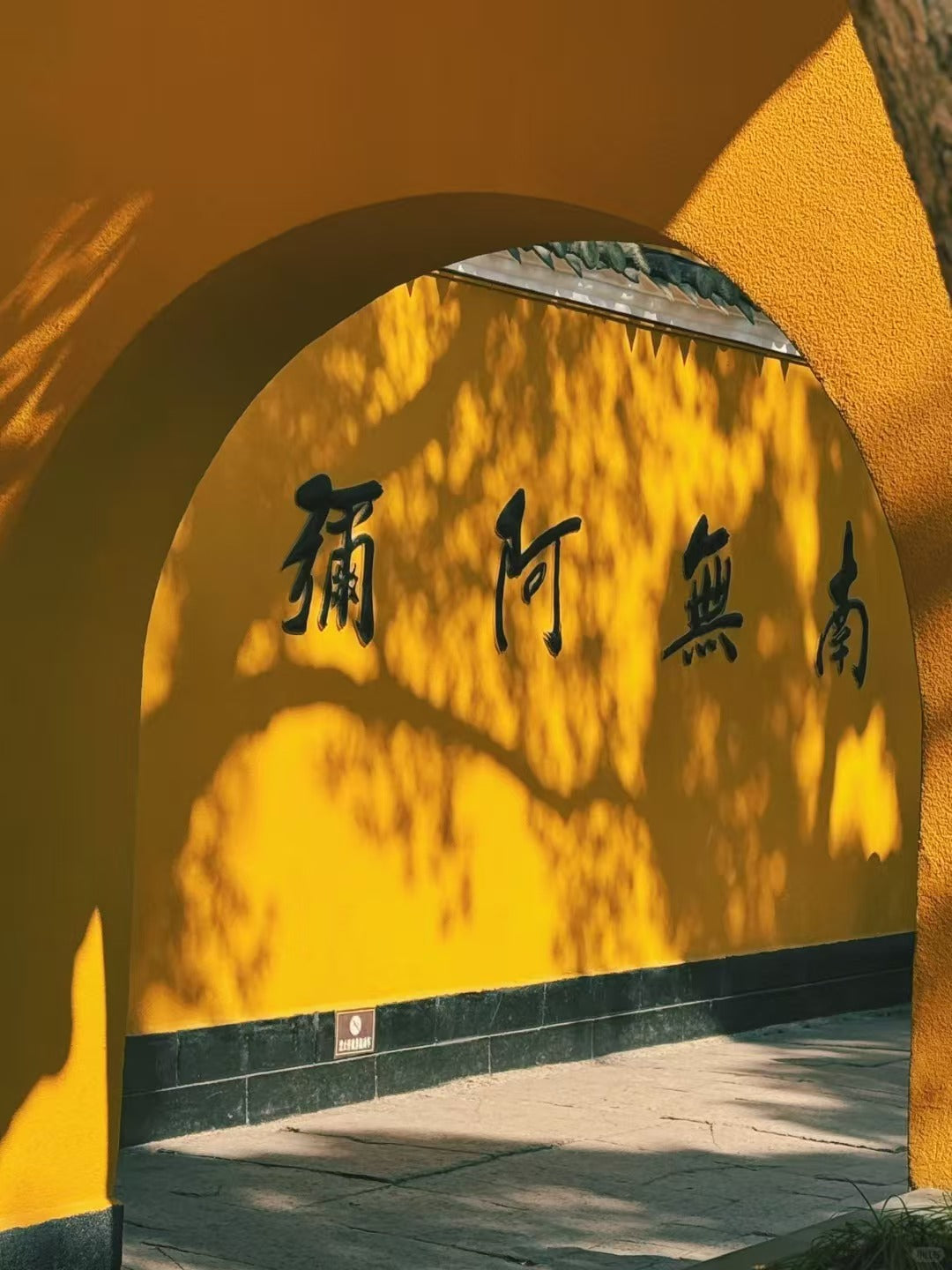 Putuo Mountain: The Mystical Island Where Sea Meets Divinity